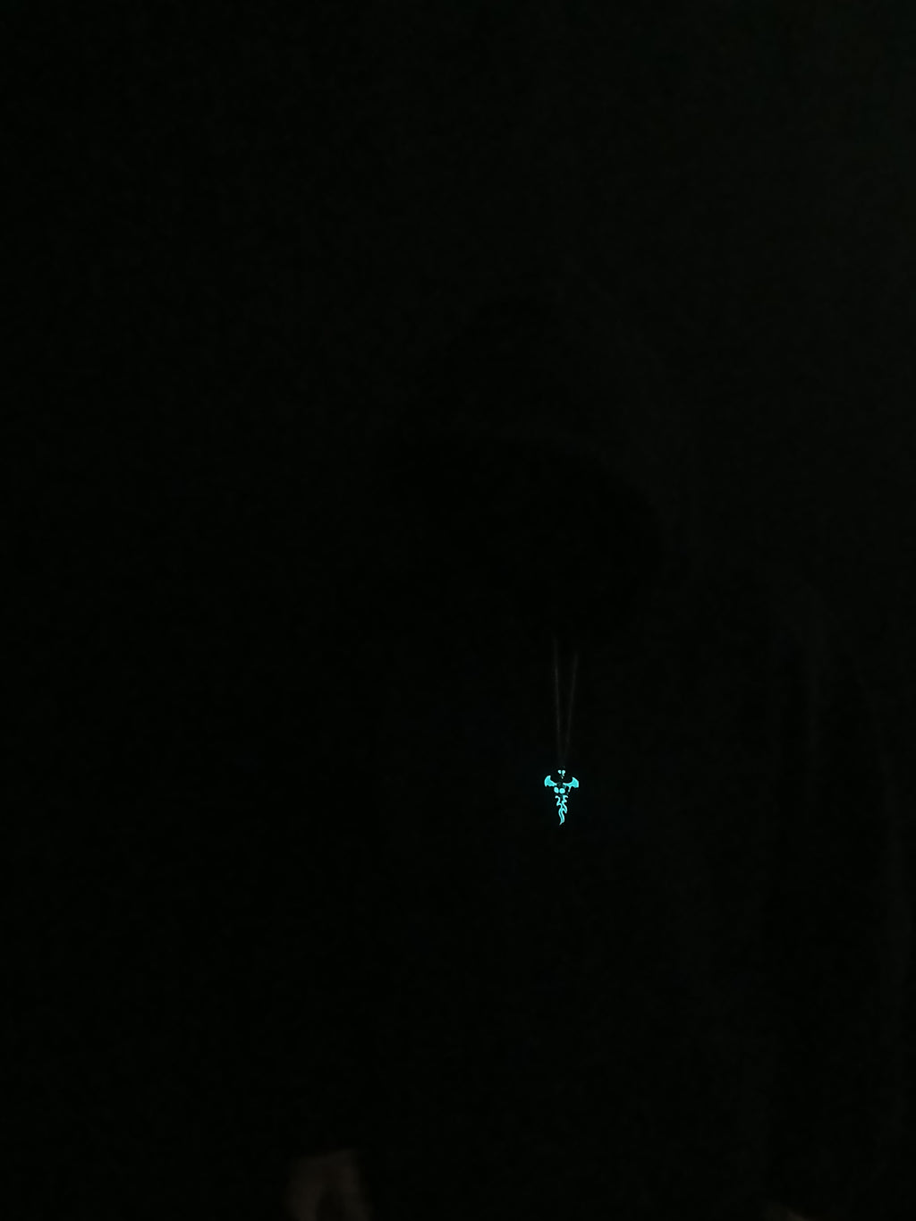 AluminiNecklace™ Destiny Light Blue Skull Pendant