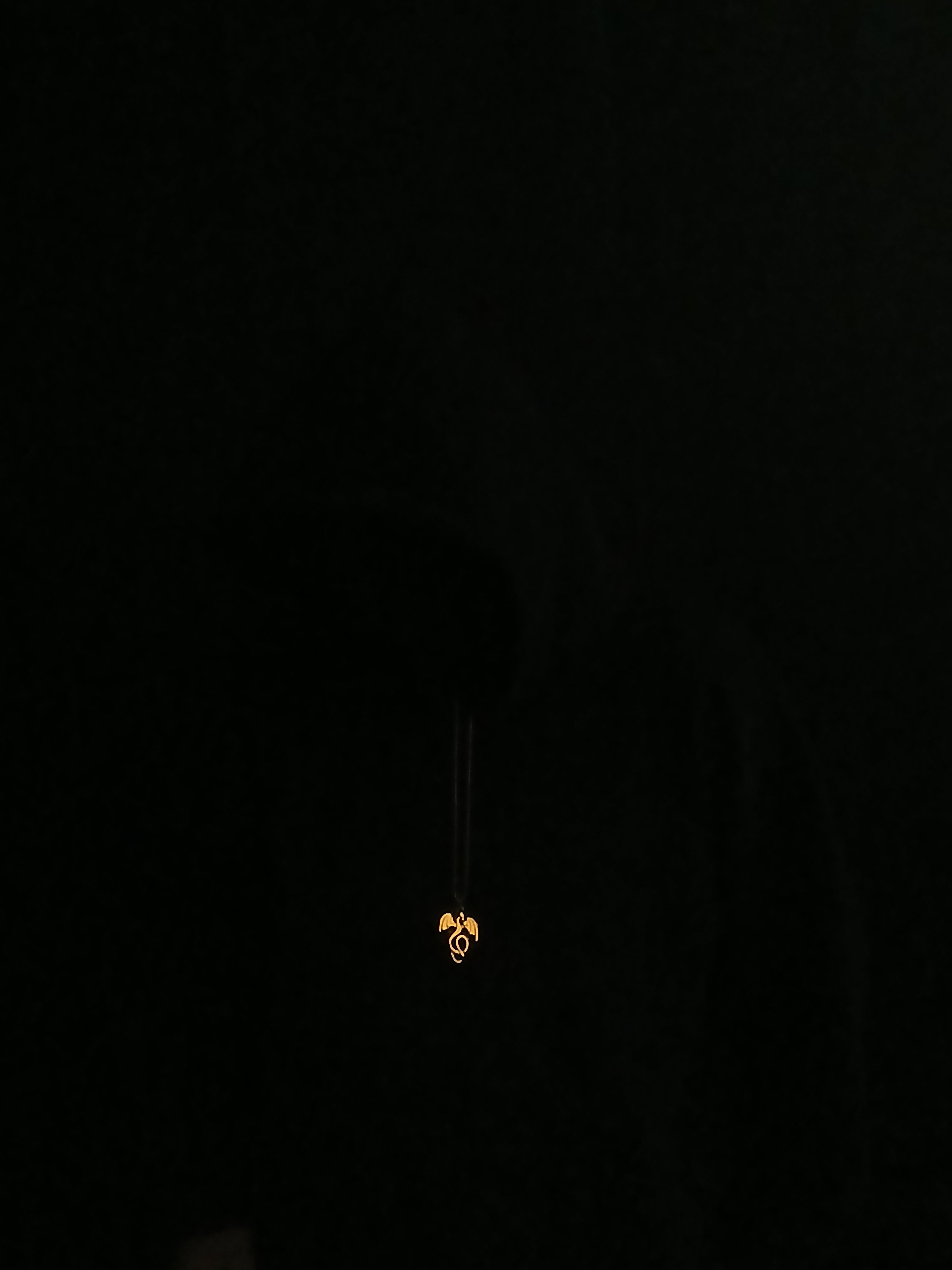 AluminiNecklace™ Fire Fury Orange Feirce Dragon Pendant