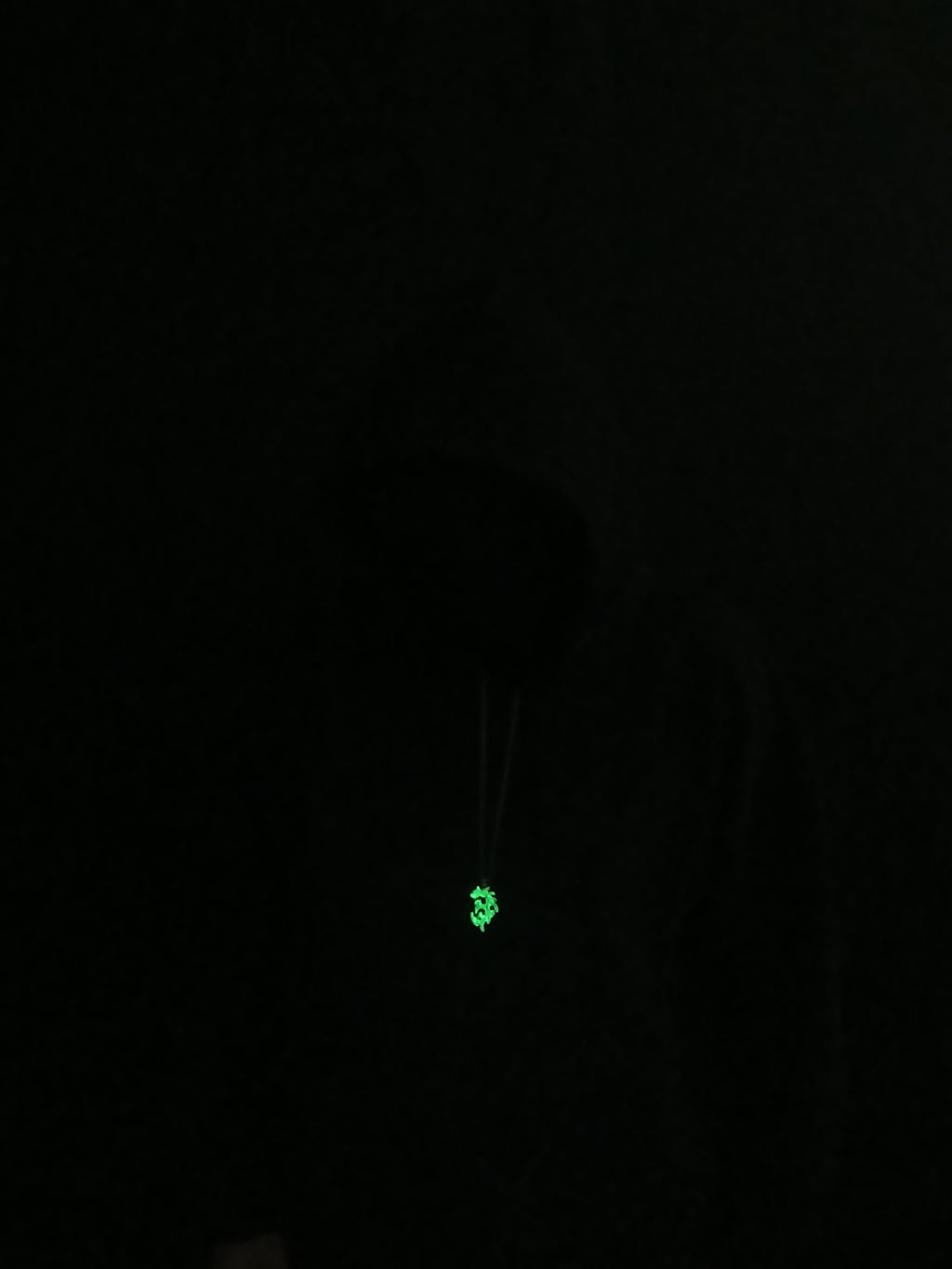 AluminiNecklace™ Toxic Green Anarchy Dragon Pendant