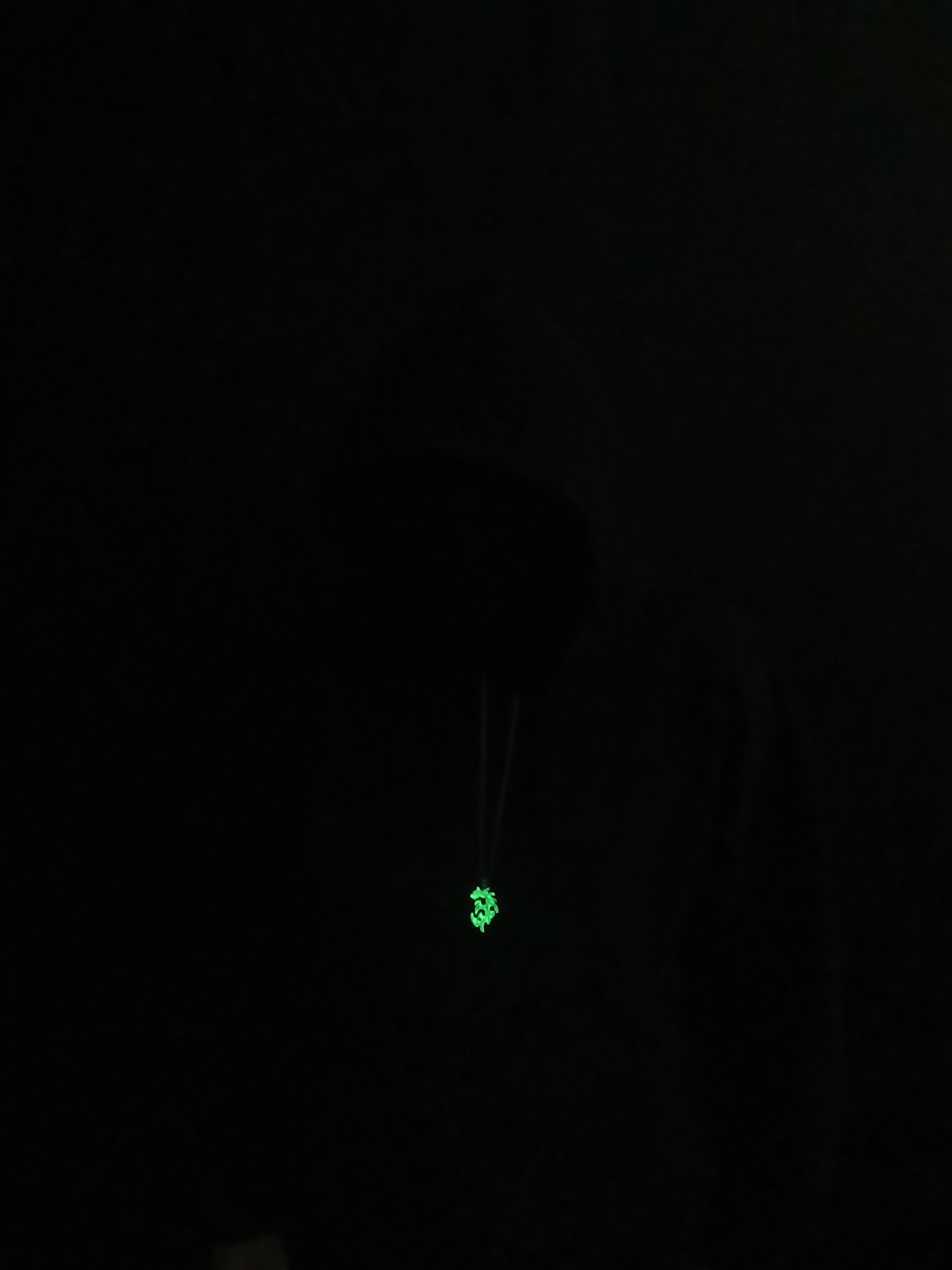 AluminiNecklace™ Toxic Green Anarchy Dragon Pendant