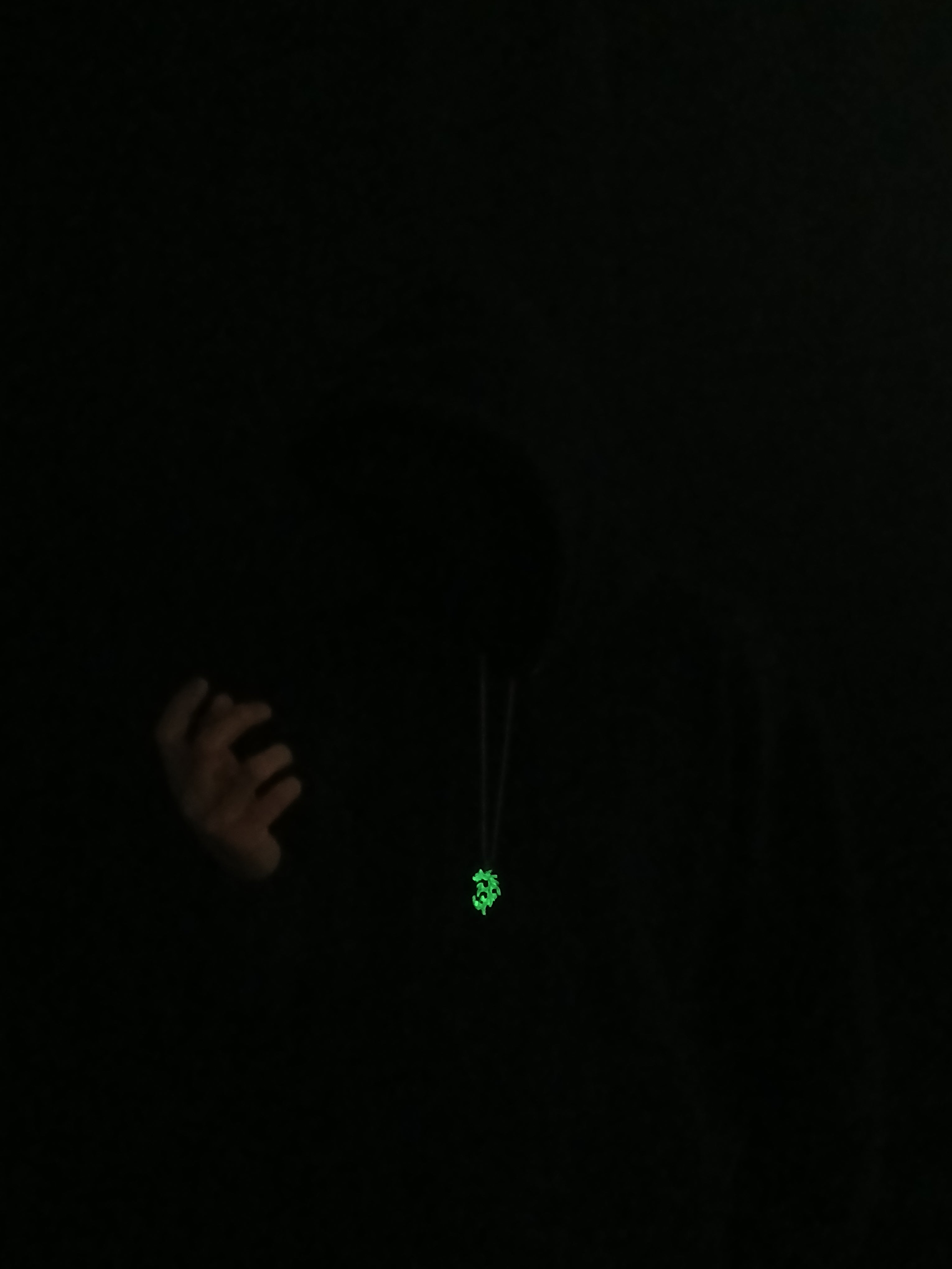 AluminiNecklace™ Toxic Green Anarchy Dragon Pendant