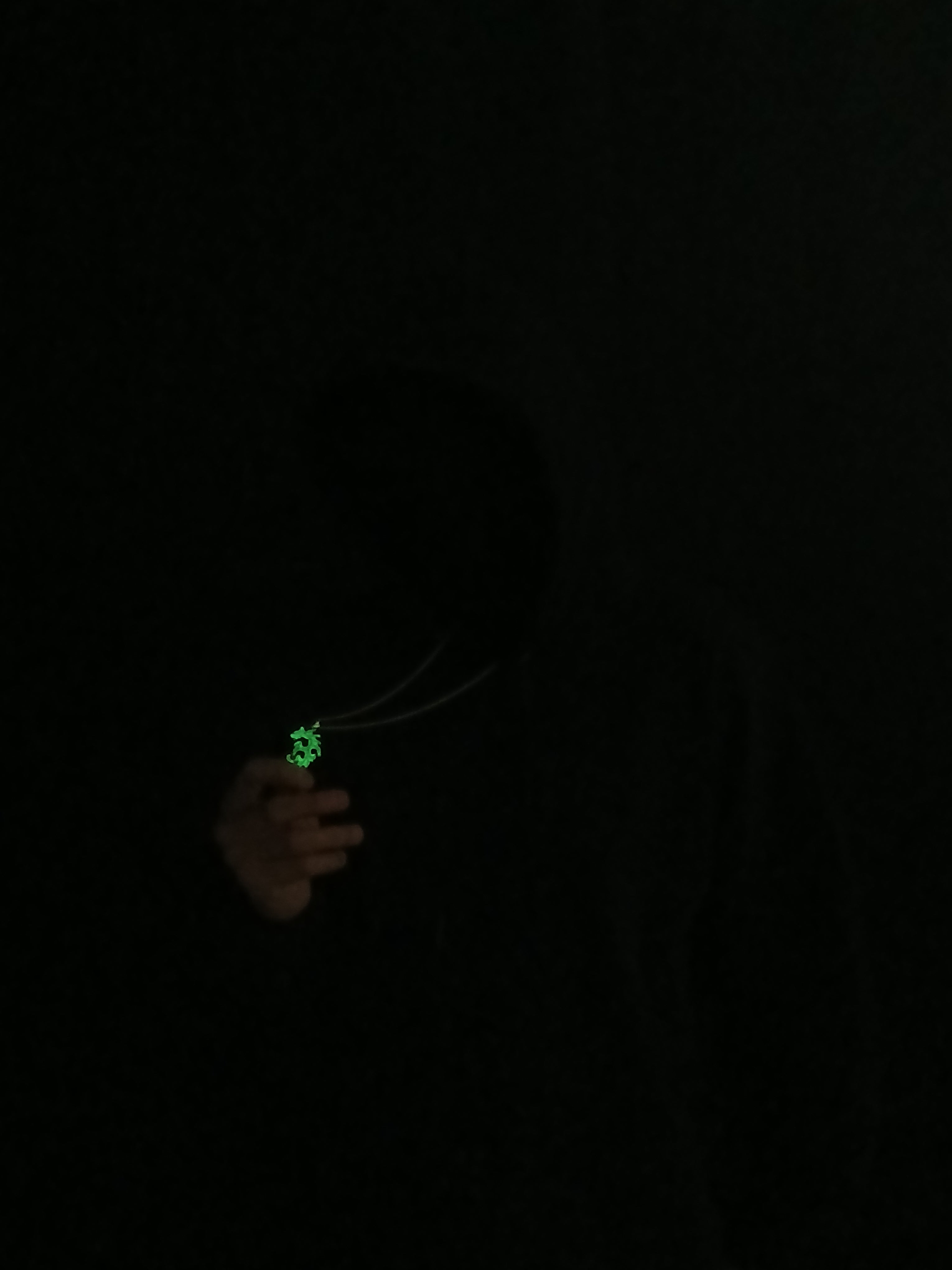 AluminiNecklace™ Toxic Green Anarchy Dragon Pendant